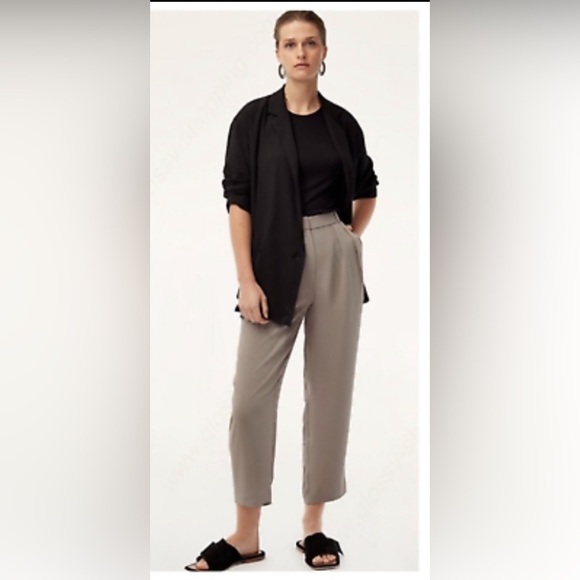 Aritzia Babaton taupe elastic waist pants spring 100$ contemporary boho classic - Picture 1 of 5